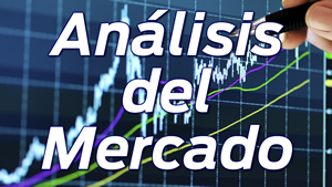 4. Análisis del Mercado